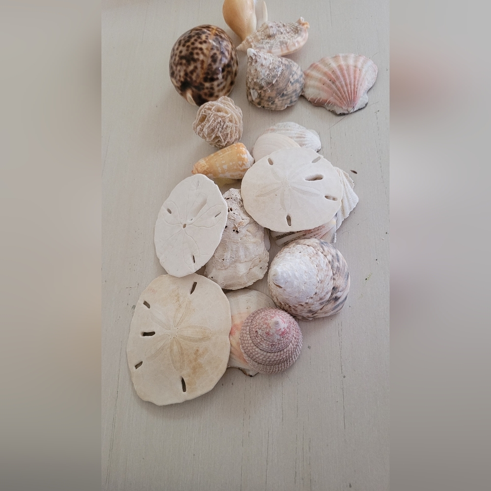 Beach decor - Picture 4 of 4